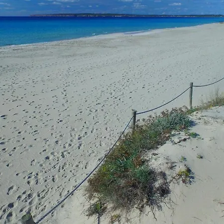 Dağ evi Es Baulo Pleta Can Picafort (Mallorca)